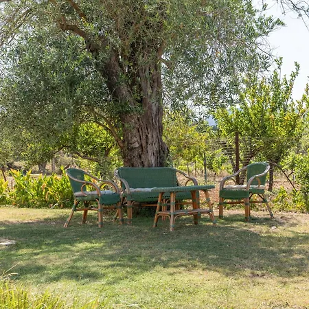 Miquel - Casina Di Campagna Holiday home