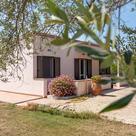 Holiday home Miquel - Casina Di Campagna *